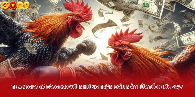 Tham gia đá gà trực tuyến với những trận đấu nảy lửa tổ chức 24/7